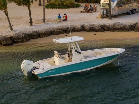 The Boston Whaler 250 Dauntless takes care of aesthetics