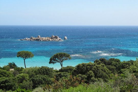 Plage de Palombaggia