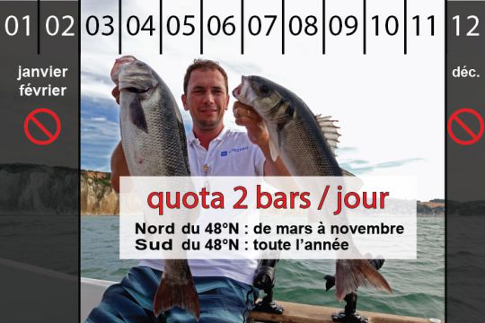 Quota à 2 bars par jour