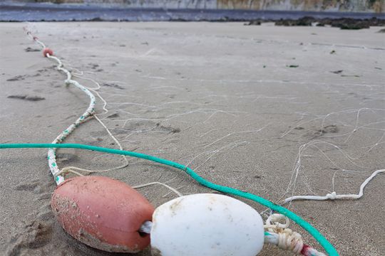 Pêche de loisir au trémail
