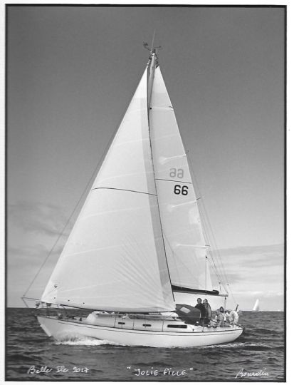 Rustler 31