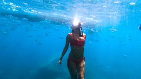 Karbones pour explorer les fonds marins