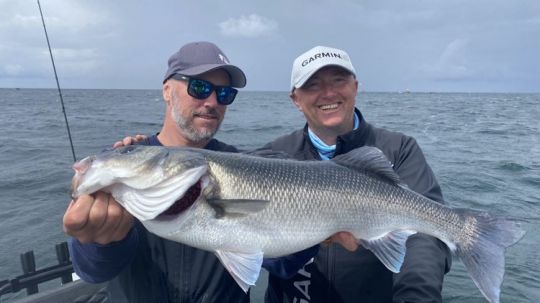 Les beaux poissons nous attendent au milieu des cailloux