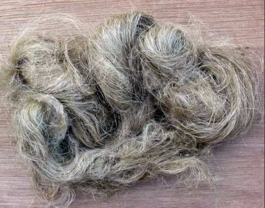 Étoupe en fil de chanvre