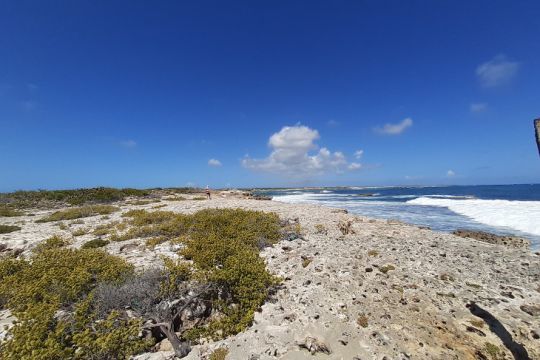 Un littoral préservé
