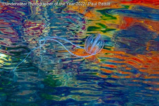 Diamonds and Rust (Diamants et rouille) © Paul Pettitt (Royaume-Uni)