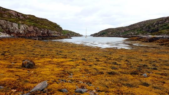 La faille depuis la passe sud à marée basse. 