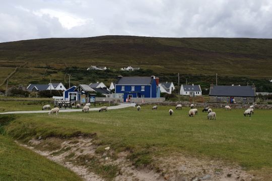 Les habitants à quatre pattes de Dugort, Achill Island