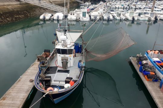 Un port partagé entre pêcheurs locaux et plaisanciers