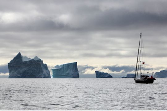 Icebergs sur la côte Est du Groenland