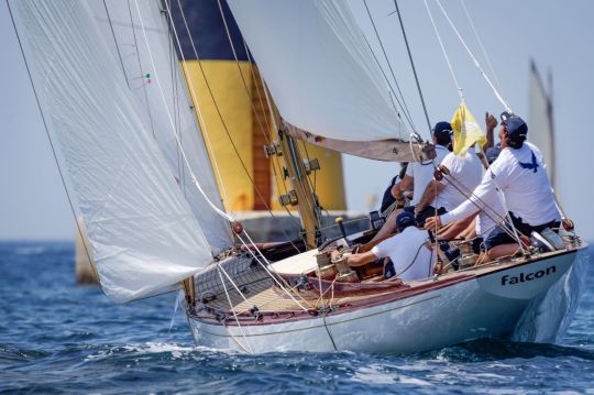 Les Voiles du Vieux-Port ont 20 ans