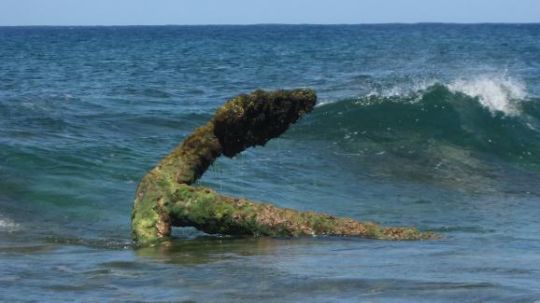 Ancre émergée du navire L'Utile © GRAN