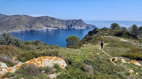 Cap de Creus. Albert Duch. Arxiu Imatges