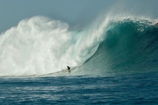 Laura Enever rentre dans le Guiness des records