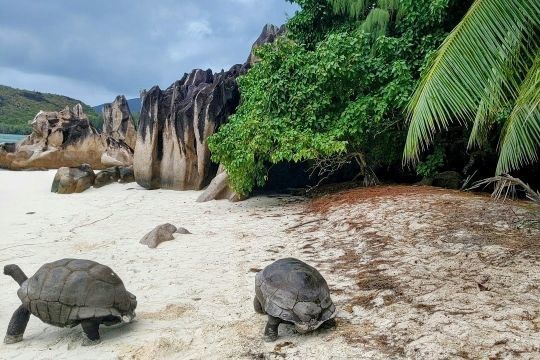 Une faune dense à découvrir à terre
