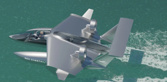 © Sea Cheetah Corp