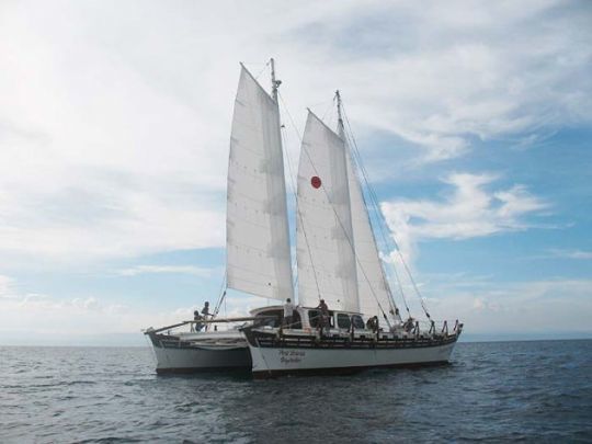 Why does the dream of Wharram catamaran adventure live on?