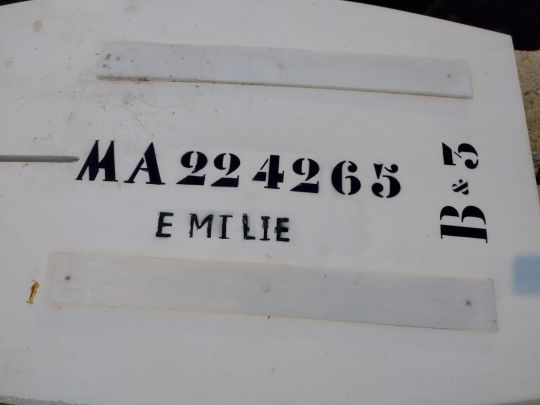 L'identification est obligatoire