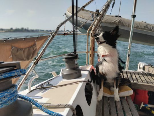 Oban à la sortie de la rade de Lorient, 21 juin 2025