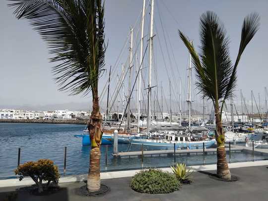 La "so chic" marina d'Arrecife