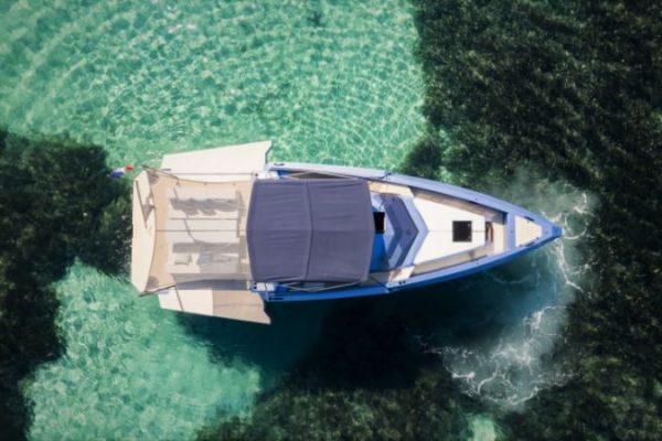 Alium is up against some very well-known competitors