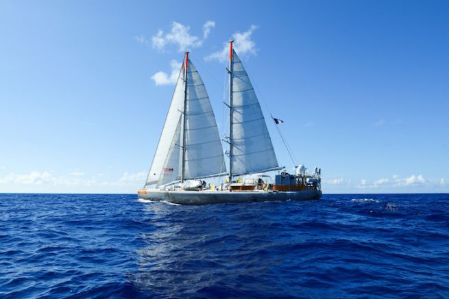 The schooner Tara