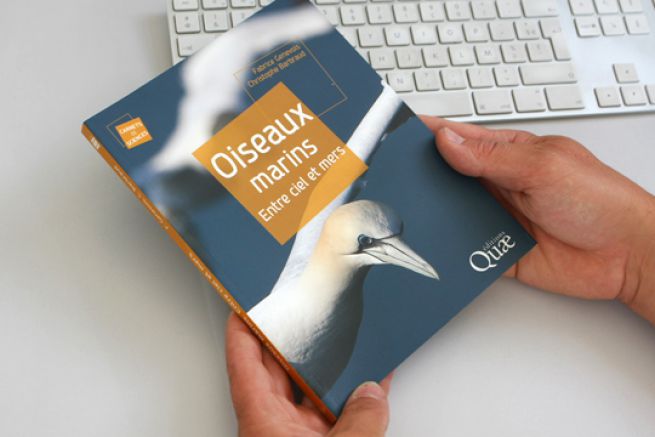 The book to know everything about seabirds