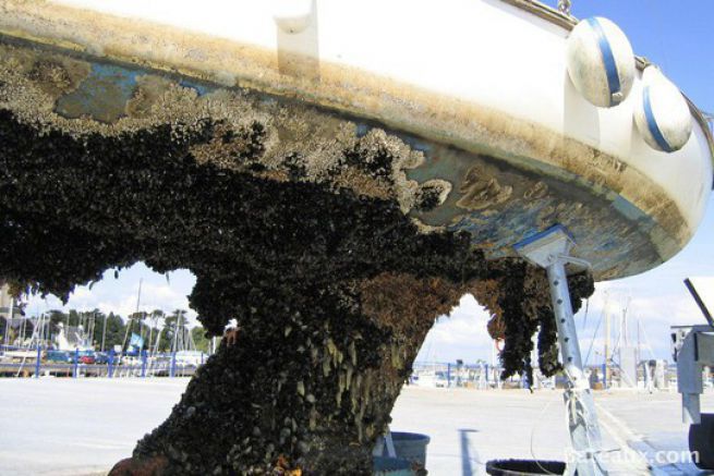 Is Boat Protect the effective organic antifouling we expect?