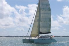 Open C Cat 40