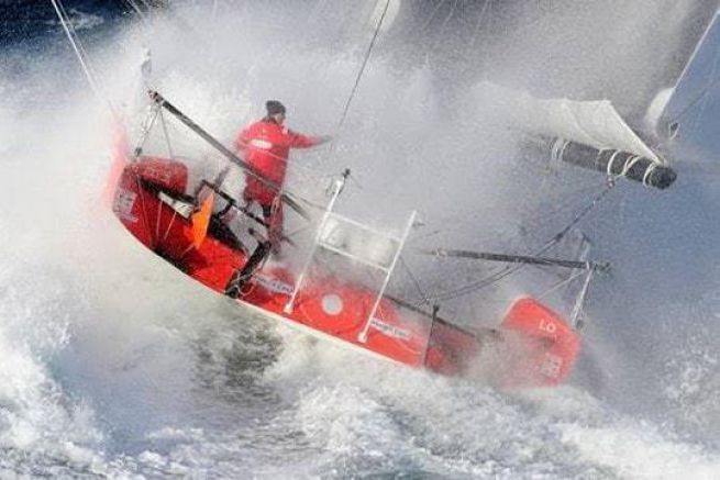 The Imoca Master Rooster