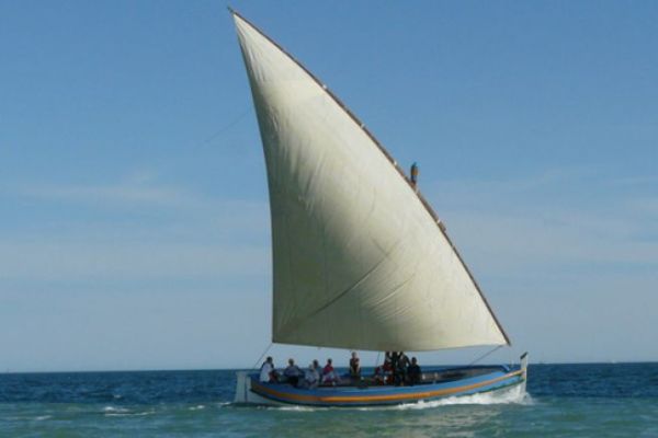 Learn to recognize them: Latin sails