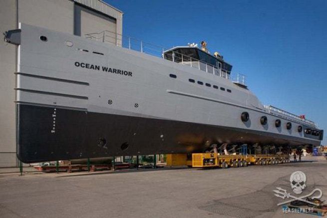 Ocean Warrior, the new Sea Shepherd patrol boat