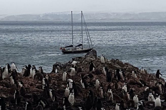 Adventures and misadventures in Antarctica: how to avoid boarding an ill-prepared sailboat?