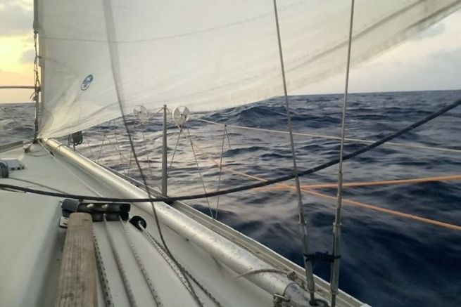 500 miles downwind swallowed in less than 6 days