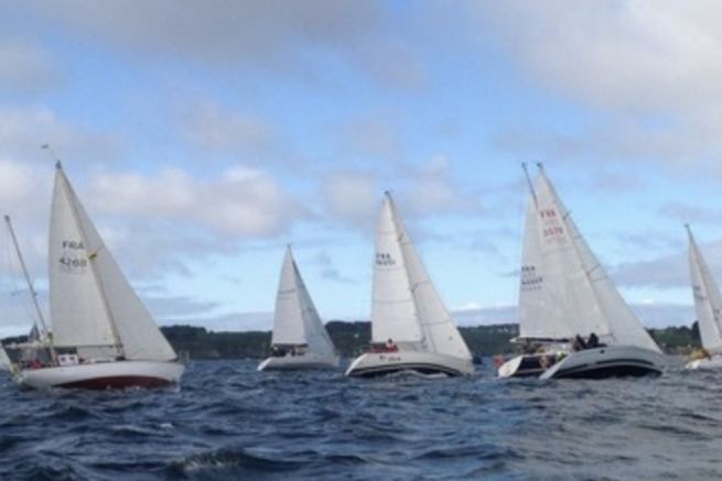 Sailing enthusiasts, try your hand at regattas this summer! Reminder of the formalities
