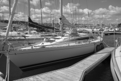 The First 305, a racing yacht, matured and ideal for cruising