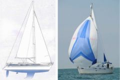 Bavaria 37 - The Moko sailing under spinnaker