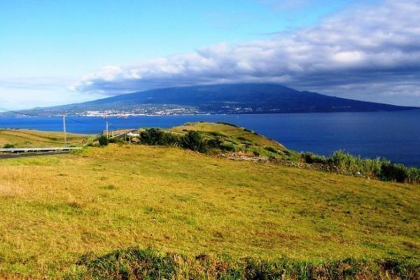 Pico and Faial, a taste of the tropics in the heart of the Azores
