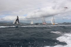 Regatta, all about the rules of sailing