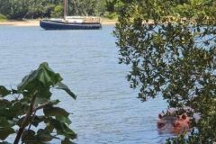 Hippos and sailboats, an unusual encounter
