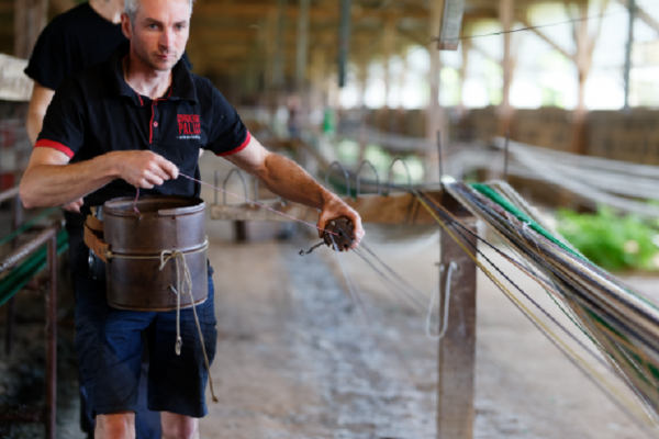 Corderie Palus: expertise in traditional long-distance rope-making, an ...