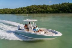 Boston Whaler 250 Dauntless, a boat that is more than ever a benchmark