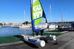 The Minicat Guppy has few competitors on the market
