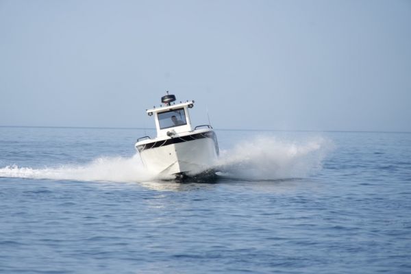 Sabor 7.80 Hard-Top, a concept: fishing and everything else