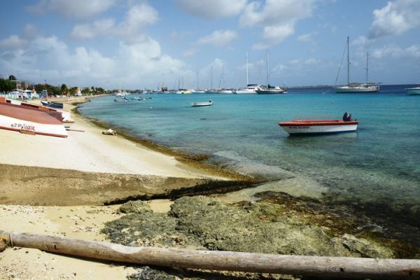 Exotic sailing on Bonaire, one of the islands of the ABC archipelago