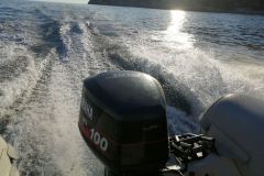 A version of the Taemup from January 2027