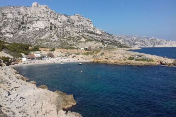 Protection of Posidonia: Three Decisions That Raise Questions About the Consistency of Anchoring Regulations