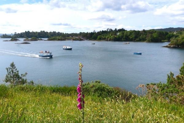 Tourist shuttle, Glengarriff
