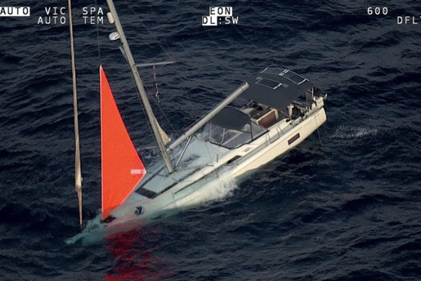 The Oceanis 51.1 sank after encountering a pod of sperm whales