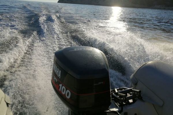 A version of the Taemup from January 2027